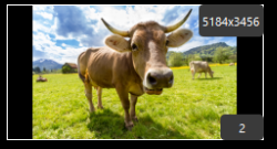 2. Select a Single Image