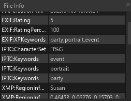 6. File Information View