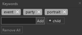 8. Keywords Panel