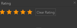 9. Rating Panel