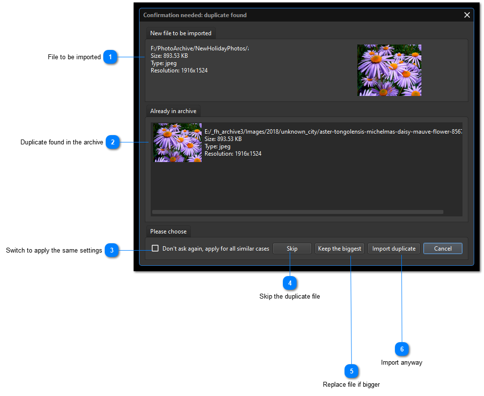 Importing Files