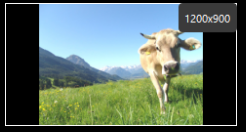 2. Select a Single Image