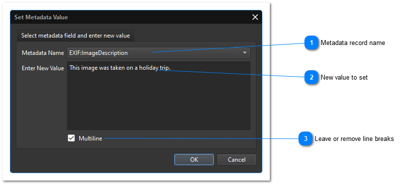 Setting Metadata