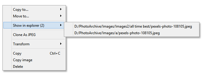 open location of duplicated image